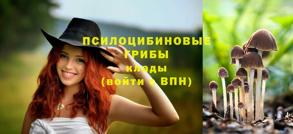 мескалин Козельск
